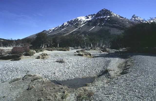 img-0051.jpg  (90,0 Kb)