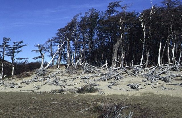 img-0052.jpg  (99,4 Kb)