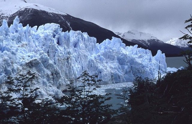 img-0064.jpg  (81,8 Kb)