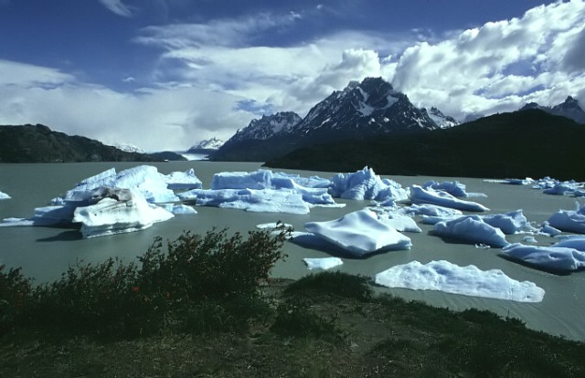 img-0077.jpg  (64,4 Kb)