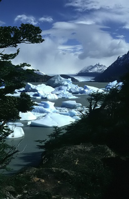 img-0079.jpg  (63,5 Kb)