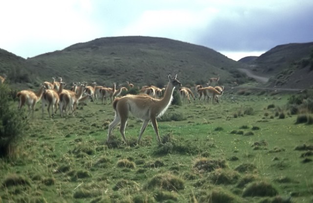 img-0085.jpg  (57,4 Kb)